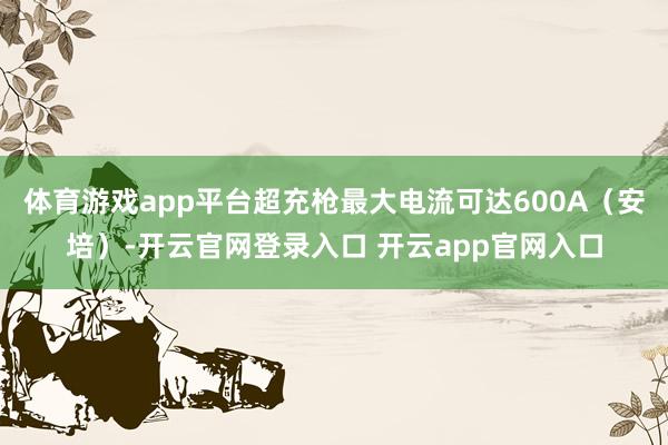 体育游戏app平台超充枪最大电流可达600A（安培）-开云官网登录入口 开云app官网入口